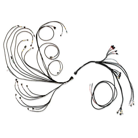 Fueltech PRO600 V8 Complete Harness (3026100076)