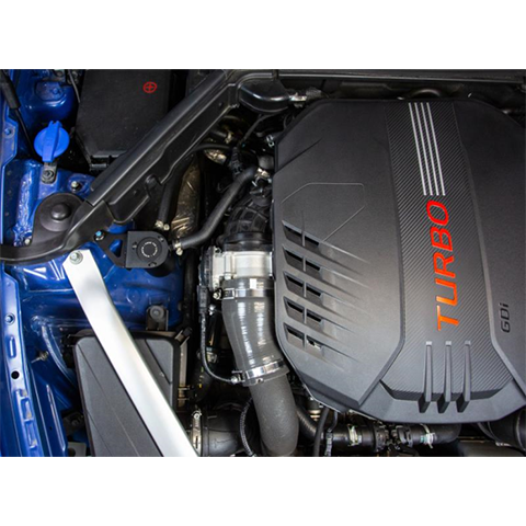 Mishimoto PCV Catch Can | 2022 Kia Stinger GT (MMBCC-STNGR-22PBE)