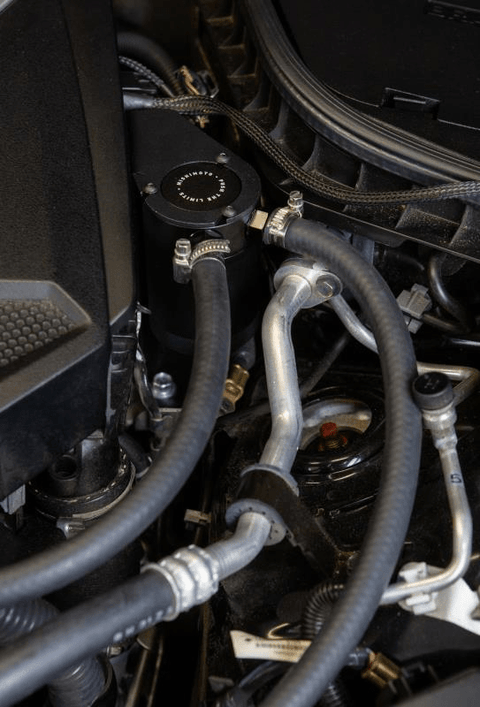 Mishimoto Direct-Fit Catch Can | 2016-2024 Infiniti Q50/Q60 3.0T (MMBCC-Q50-16PBE)