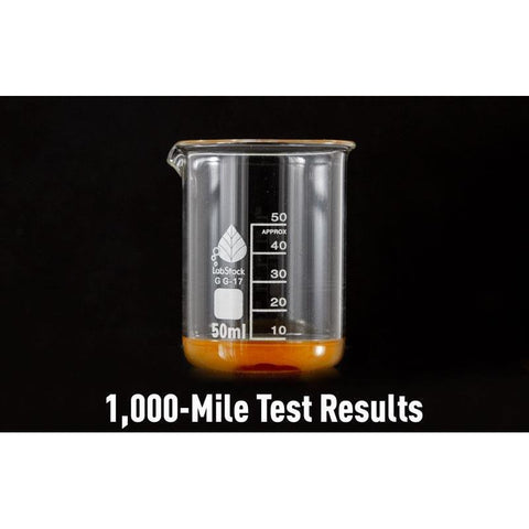 Mishimoto Baffled Oil Catch Can Kit | 2019 Ford Ranger 2.3L EcoBoost (MMBCC-RGR-19PBE)