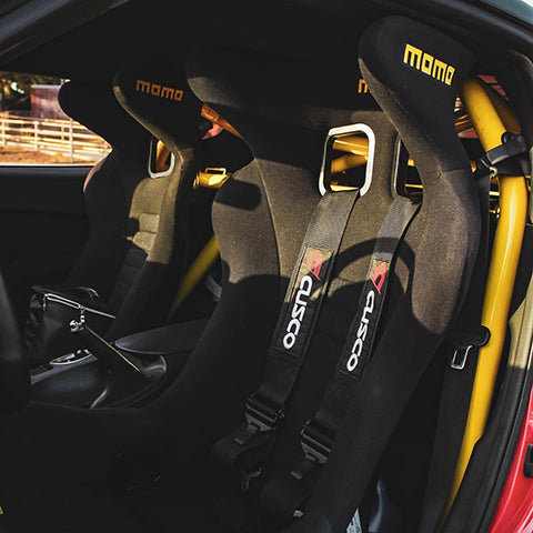 NextLevel Performance TrackArt 4pt. Bolt-On Roll Cage | 2023+ Nissan Z and 2009-2020 Nissan 370Z (TA-1000)