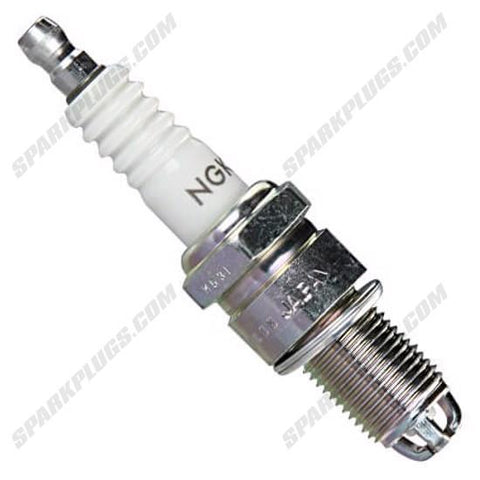NGK Standard Spark Plug Box of 4 (1263)