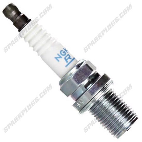NGK Racing Spark Plug Box of 4 (4586)