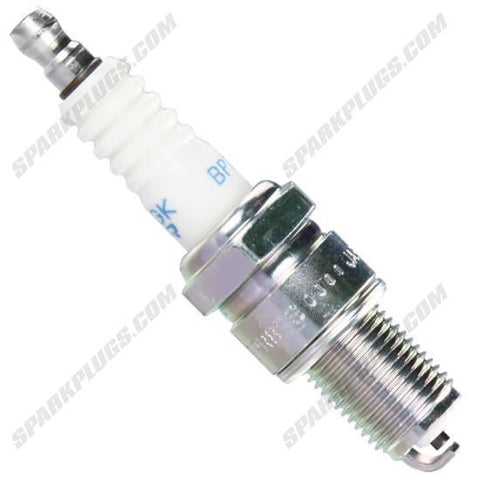 NGK Traditional Spark Plug Box of 4 (5534)