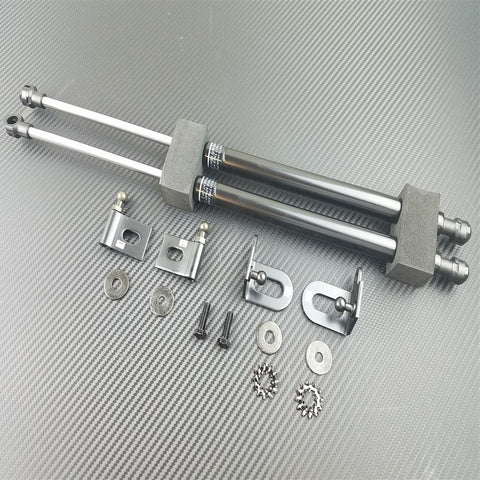 P2M Carbon Engine Hood Damper | 2008-2015 Mitsubishi Evo X (P2-CHDEVOX-TP)