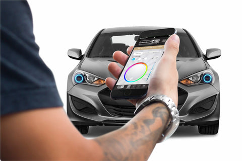 Profile Profile Prism Fitted Halos - Kit | Multiple Fitments (EDC01177)