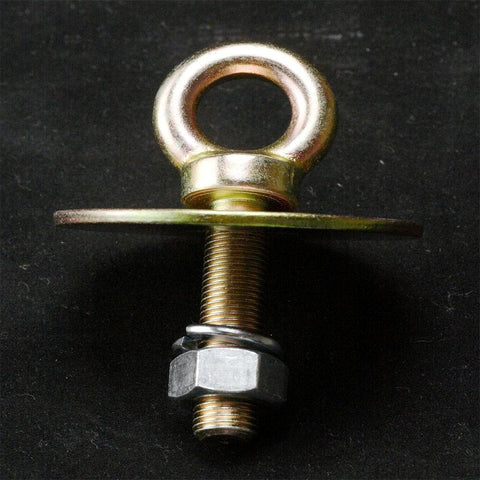 RaceQuip 7/16-20 Long Eyebolt, Nut & Washer (700060)