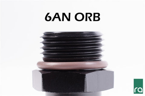Radium 6An Orb W/ 10Mm Barb To 6An Male Bulkhead Fitting | Universal (14-0670)