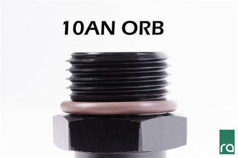 Radium Engineering 10An Orb Swivel Banjo To 6An Male Fitting | Universal (20-1000-1006)