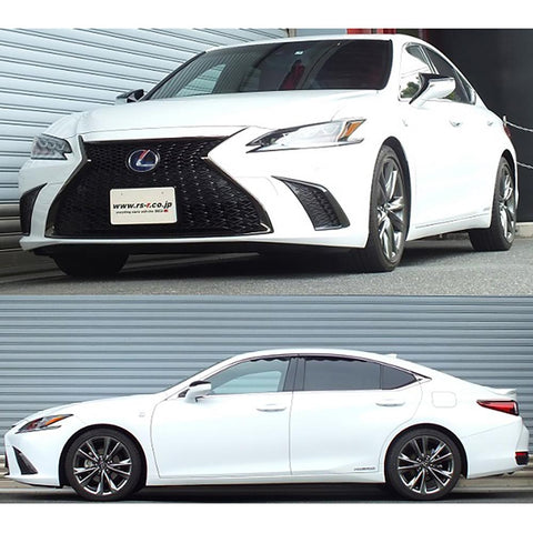 RS-R Down Sus Lowering Springs | 2019-2021 Lexus ES300H F-Sport (RSR-T311D)
