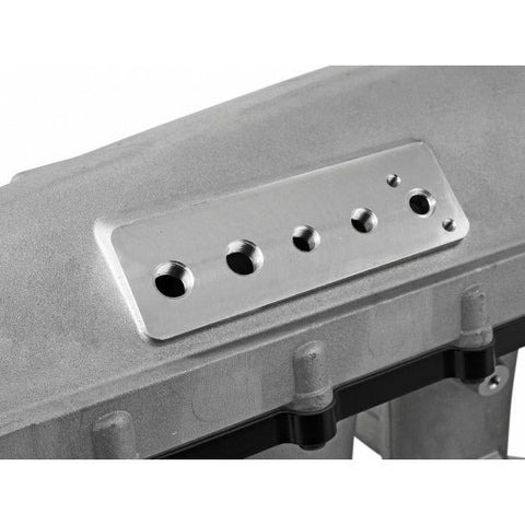 Skunk2 Ultra Race Intake Manifold | Honda/Acura B-Series VTEC