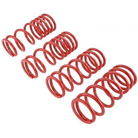 Skunk2 Racing Lowering Springs | 2000-2009 Honda S2000 (519-05-1680)