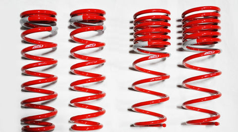 Tanabe DF210 Springs | 1992-1995 Honda Civic Coupe & Sedan (TDF004)