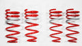1998-2005 Lexus GS300 DF210 Springs by Tanabe (TDF024) - Modern Automotive Performance
