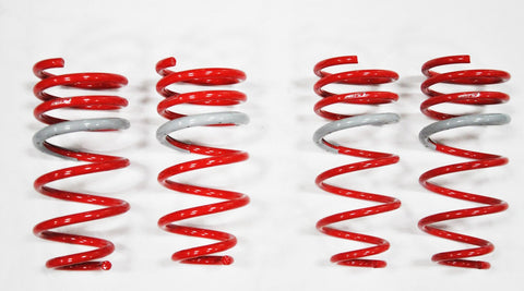 1998-2005 Lexus GS300 DF210 Springs by Tanabe (TDF024) - Modern Automotive Performance
