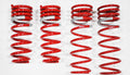 2008-2009 Scion XD DF210 Springs by Tanabe (TDF121) - Modern Automotive Performance
