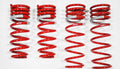 2010 Toyota Prius DF210 Springs by Tanabe (TDF153) - Modern Automotive Performance
