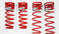 1998-2005 Lexus GS400/430 DF210 Springs by Tanabe (TDF24B) - Modern Automotive Performance
