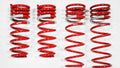 2004-2007 Mazda RX-8 GF210 Springs  by Tanabe (TGF097) - Modern Automotive Performance
