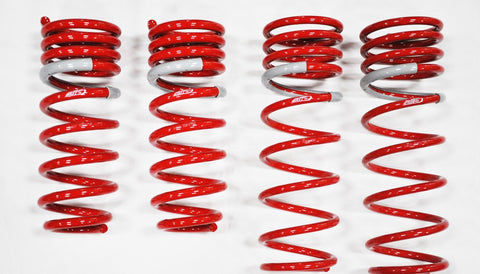 2004-2007 Scion XB NF210 Springs by Tanabe (TNF081) - Modern Automotive Performance
