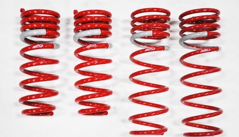 2010 Toyota Prius NF210 Springs by Tanabe (TNF153) - Modern Automotive Performance

