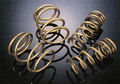 Tein H Tech Springs (Honda Civic 01-05) - Modern Automotive Performance
