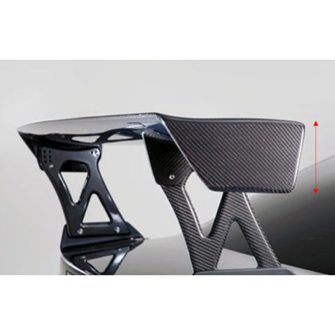 Varis Euro Edition GT-Wing (VGW03-160HB1-AC)