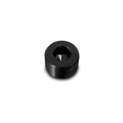Vibrant 1 inch NPT Socket Pipe Plug (10495)